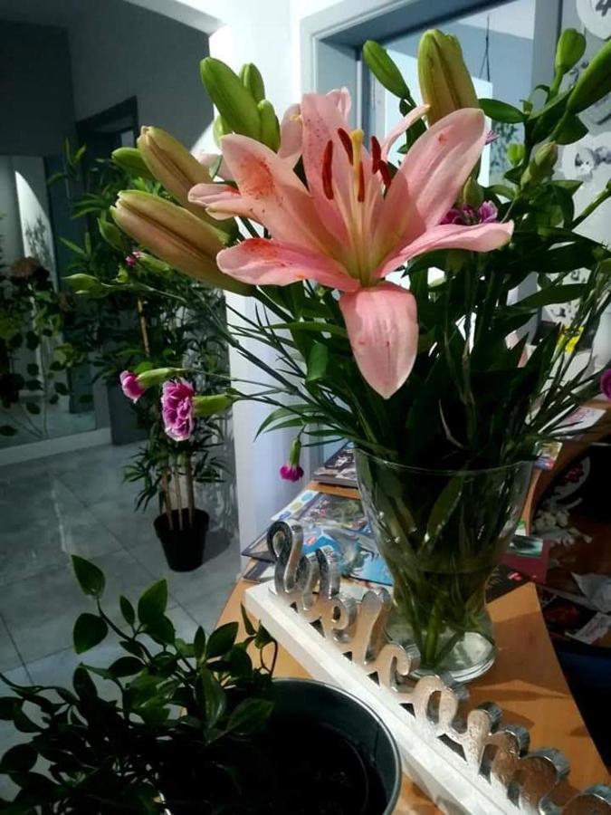 Villa Eden Basecles Ngoại thất bức ảnh