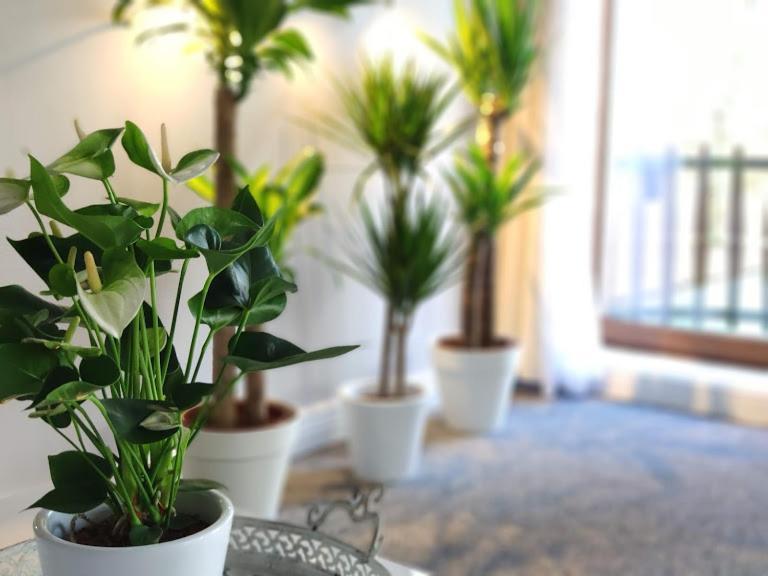Villa Eden Basecles Ngoại thất bức ảnh